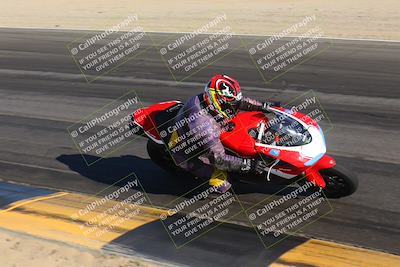 media/Nov-12-2023-SoCal Trackdays (Sun) [[5d1fba4e7d]]/Turn 14 Inside (2pm)/